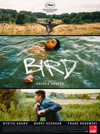 Film Bird