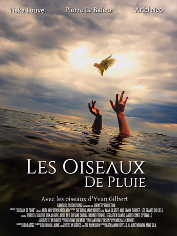 Film Les Oiseaux de Pluie