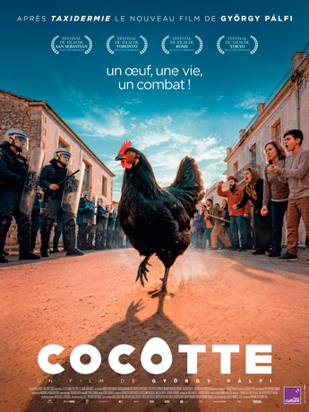 Film Cocotte