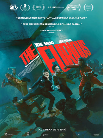Film The Furious